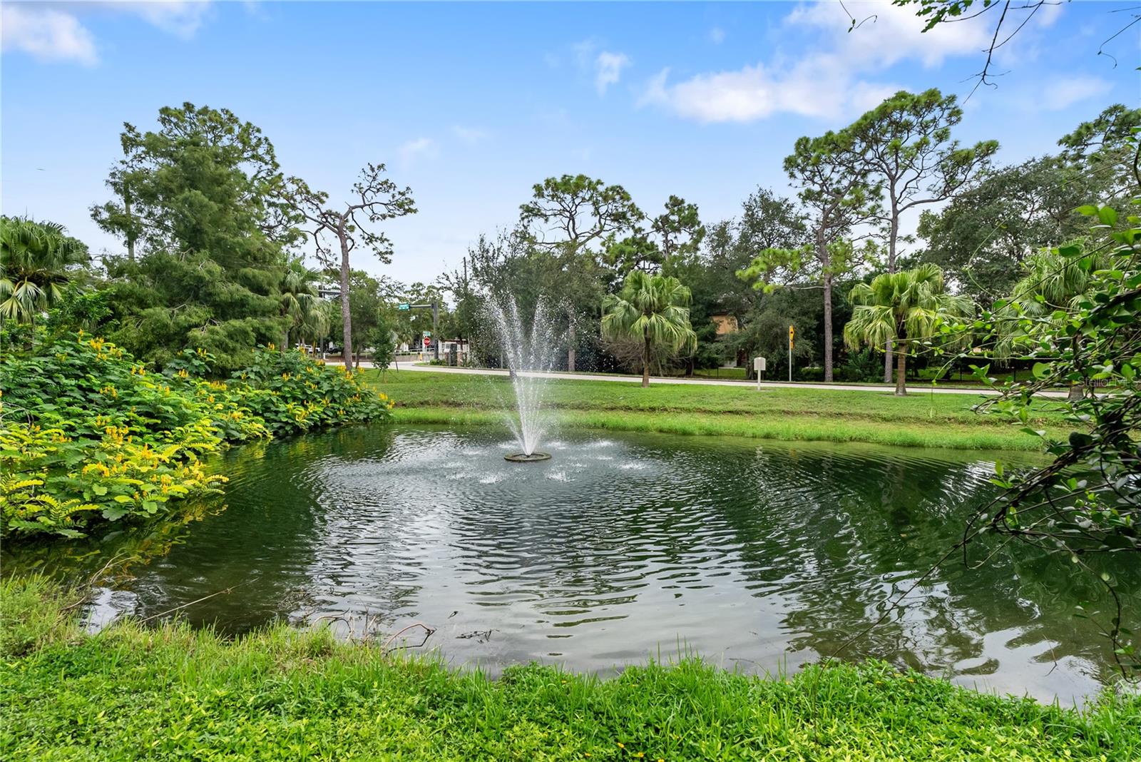 303 OLD MILL POND RD #303, PALM HARBOR, FL, 34683