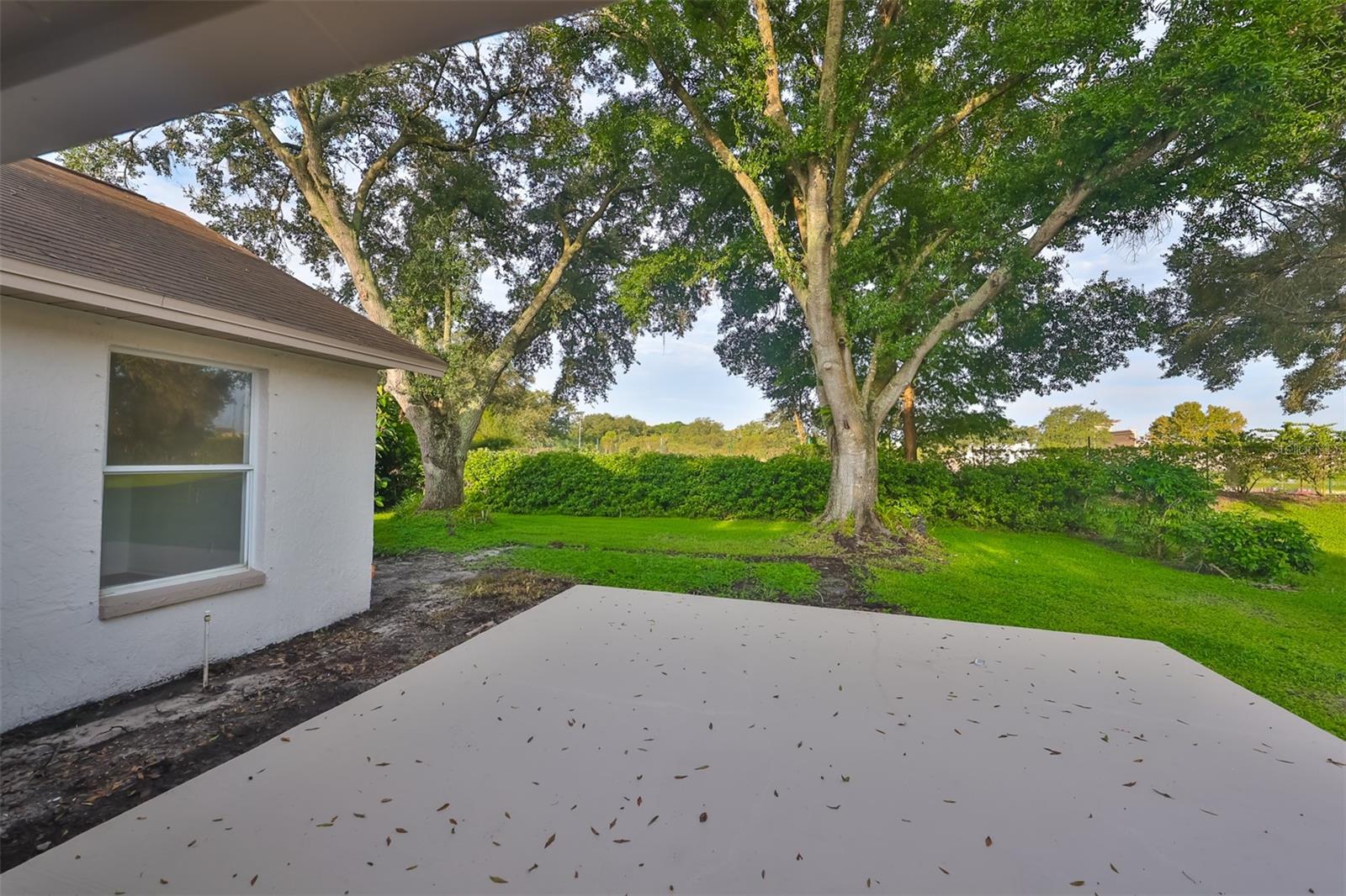 28211 TANGLEWOOD DR, WESLEY CHAPEL, FL, 33543
