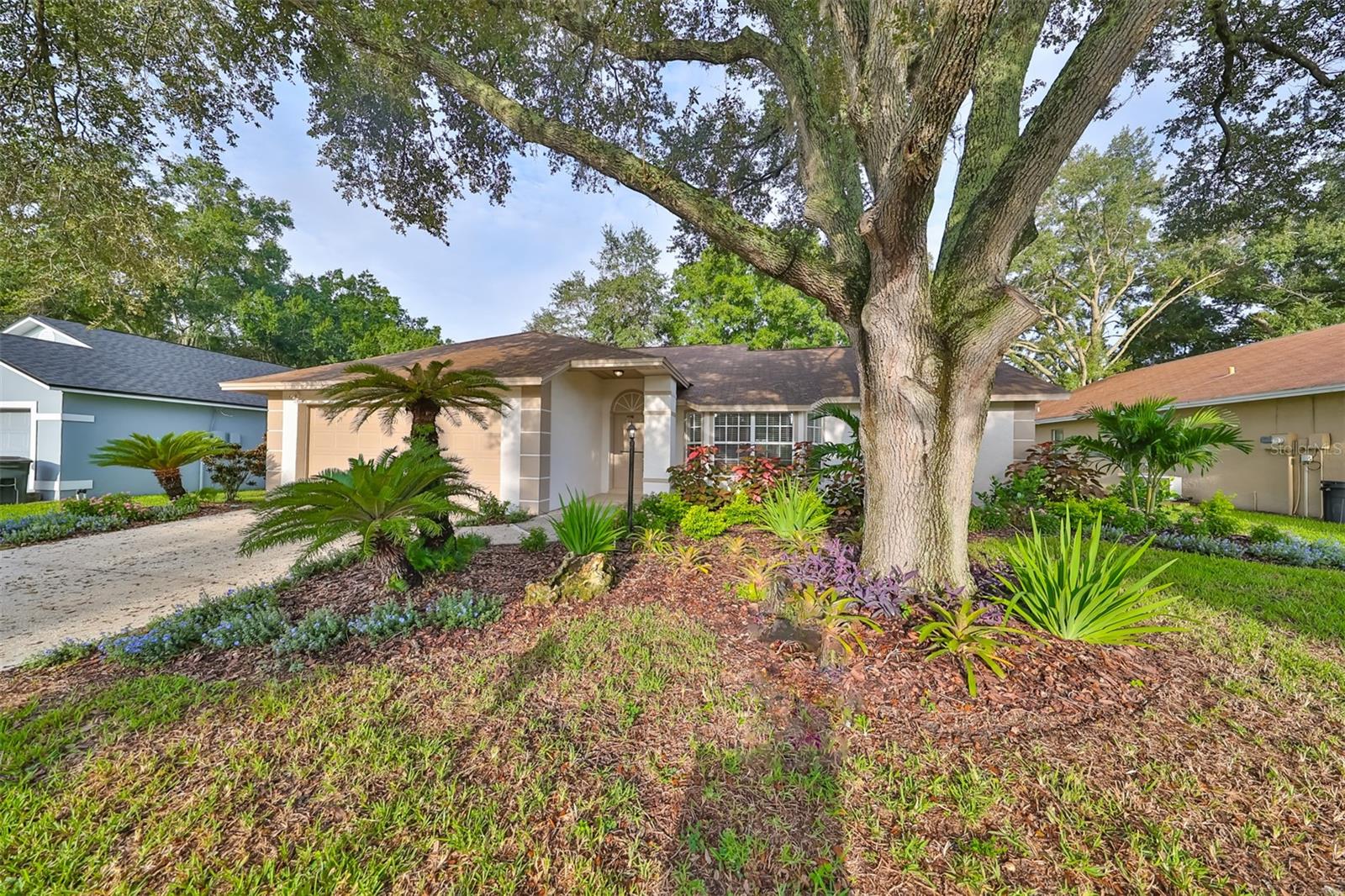 28211 TANGLEWOOD DR, WESLEY CHAPEL, FL, 33543