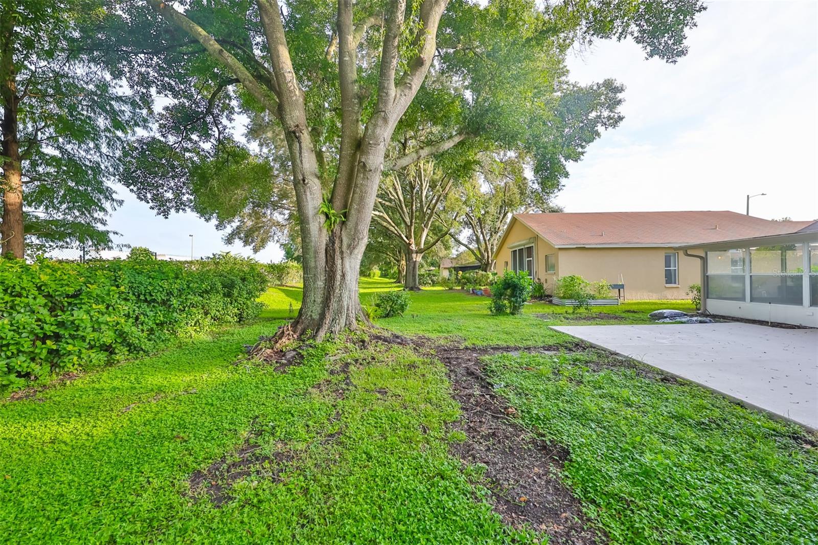 28211 TANGLEWOOD DR, WESLEY CHAPEL, FL, 33543