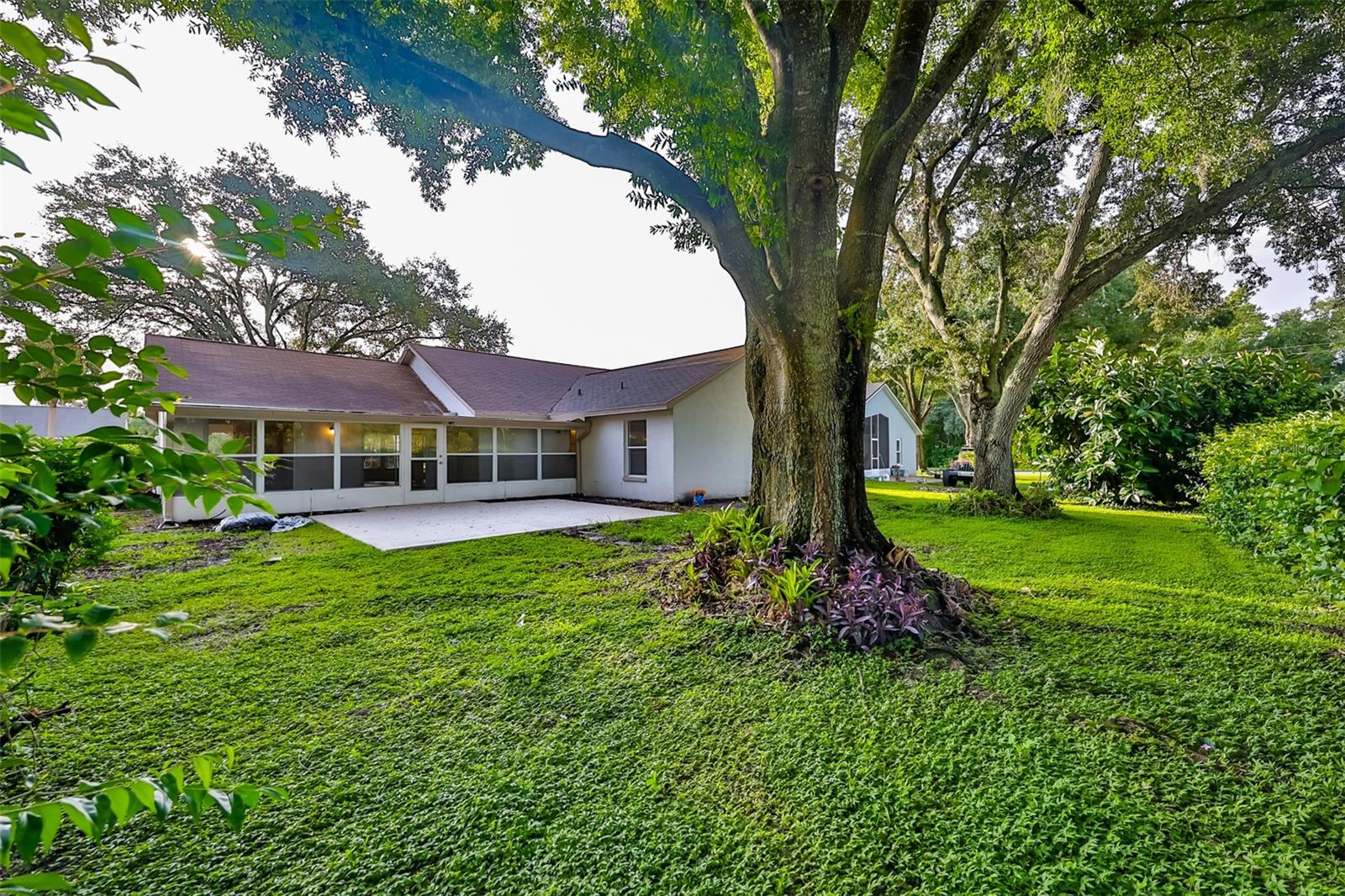 28211 TANGLEWOOD DR, WESLEY CHAPEL, FL, 33543