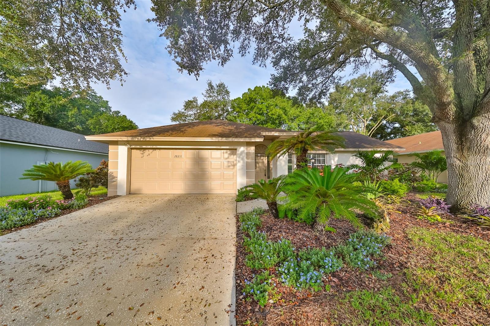 28211 TANGLEWOOD DR, WESLEY CHAPEL, FL, 33543