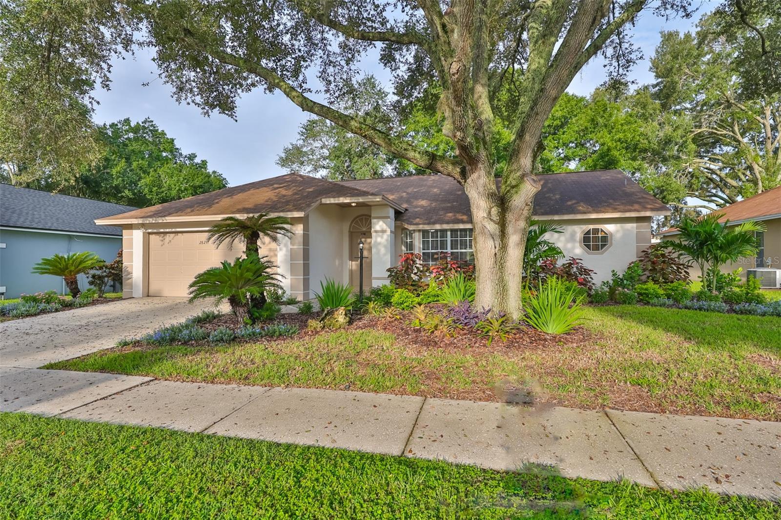 28211 TANGLEWOOD DR, WESLEY CHAPEL, FL, 33543