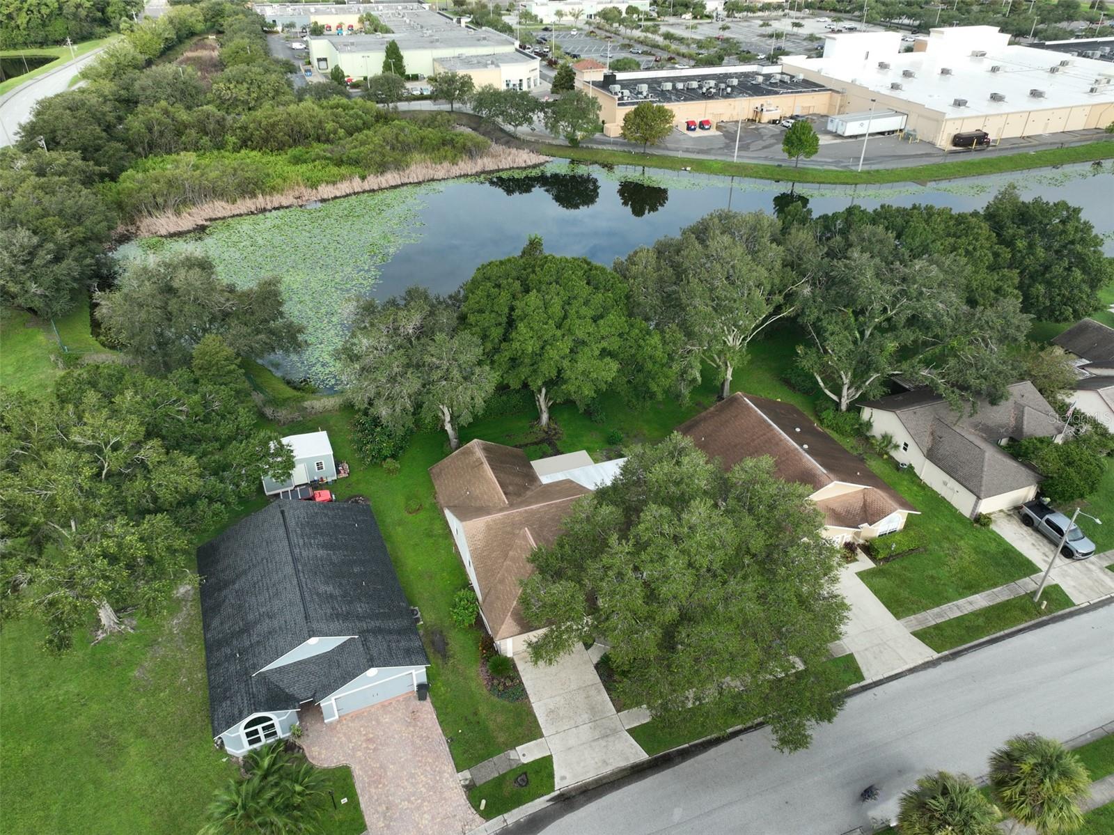 28211 TANGLEWOOD DR, WESLEY CHAPEL, FL, 33543
