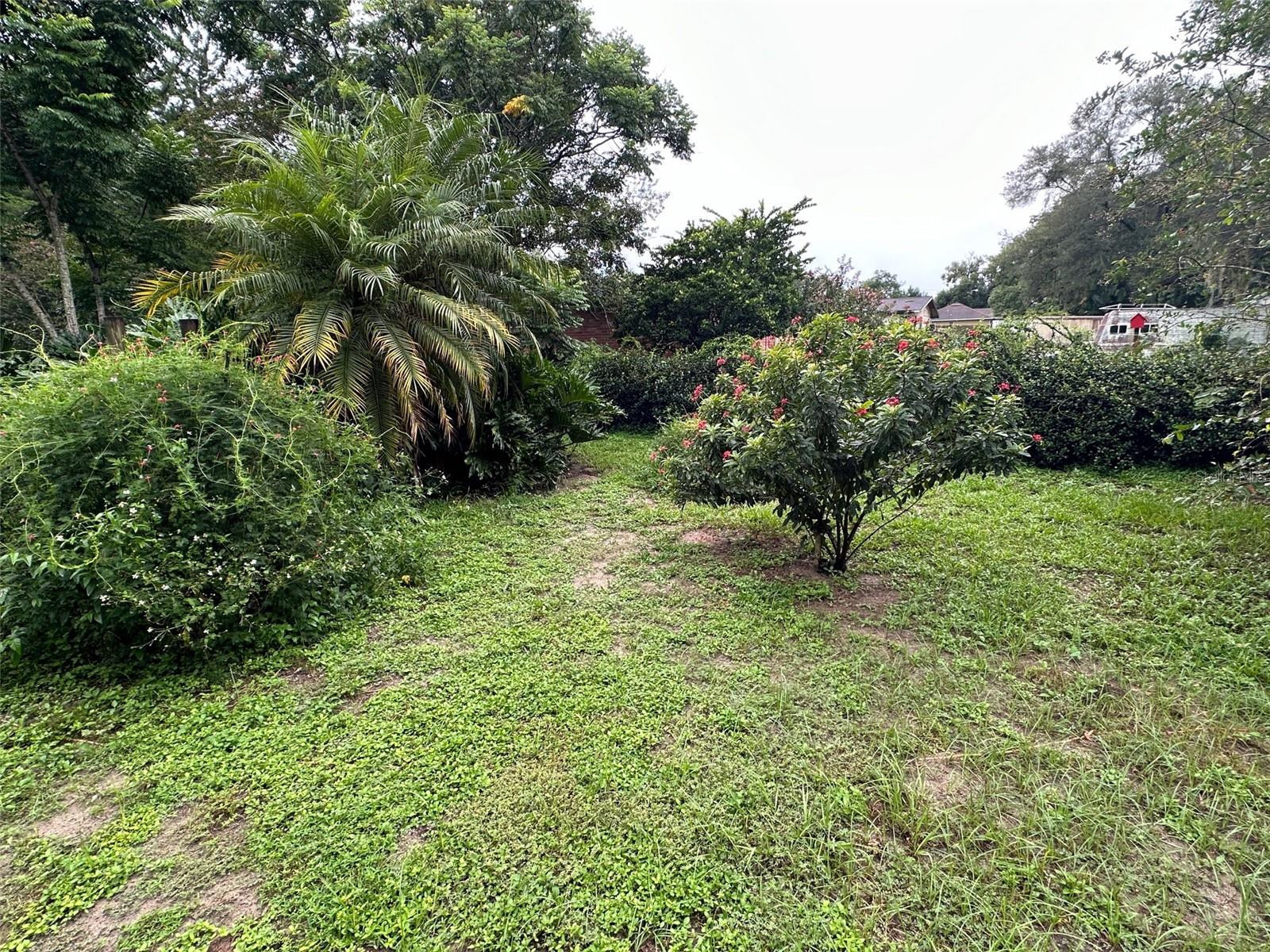 800 MARGARET ST, DELAND, FL, 32720