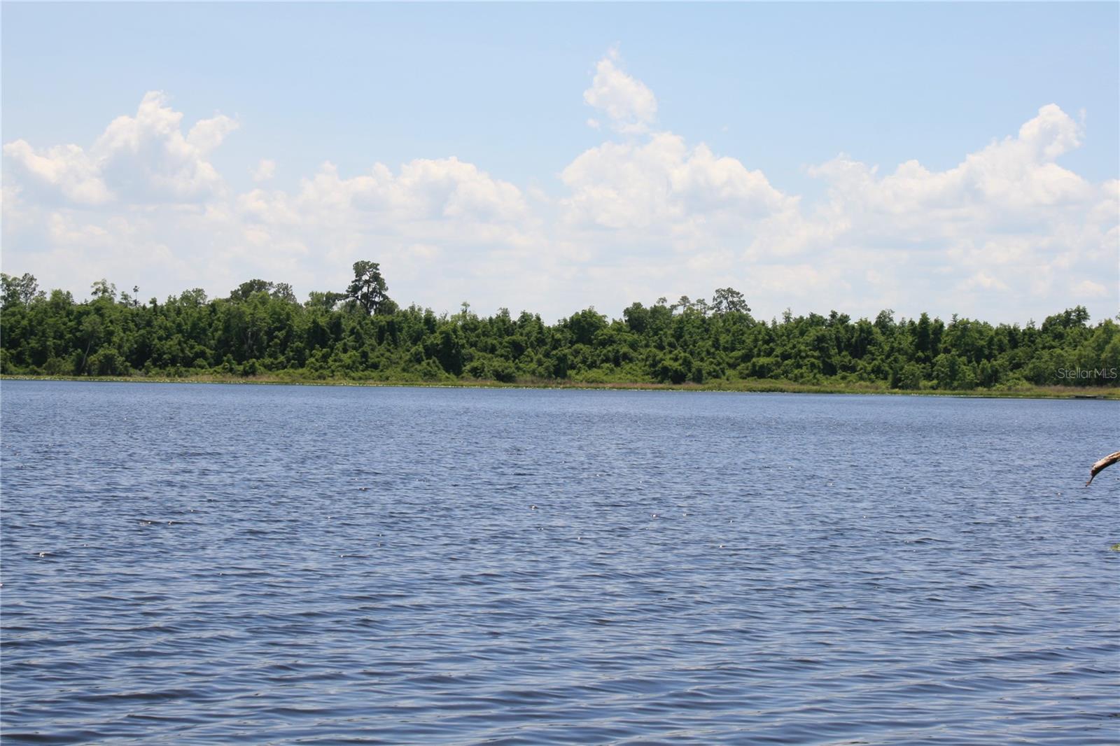 21317 SE 111TH AVE, HAWTHORNE, FL, 32640