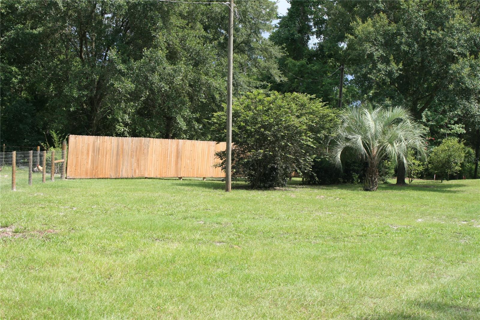 21317 SE 111TH AVE, HAWTHORNE, FL, 32640