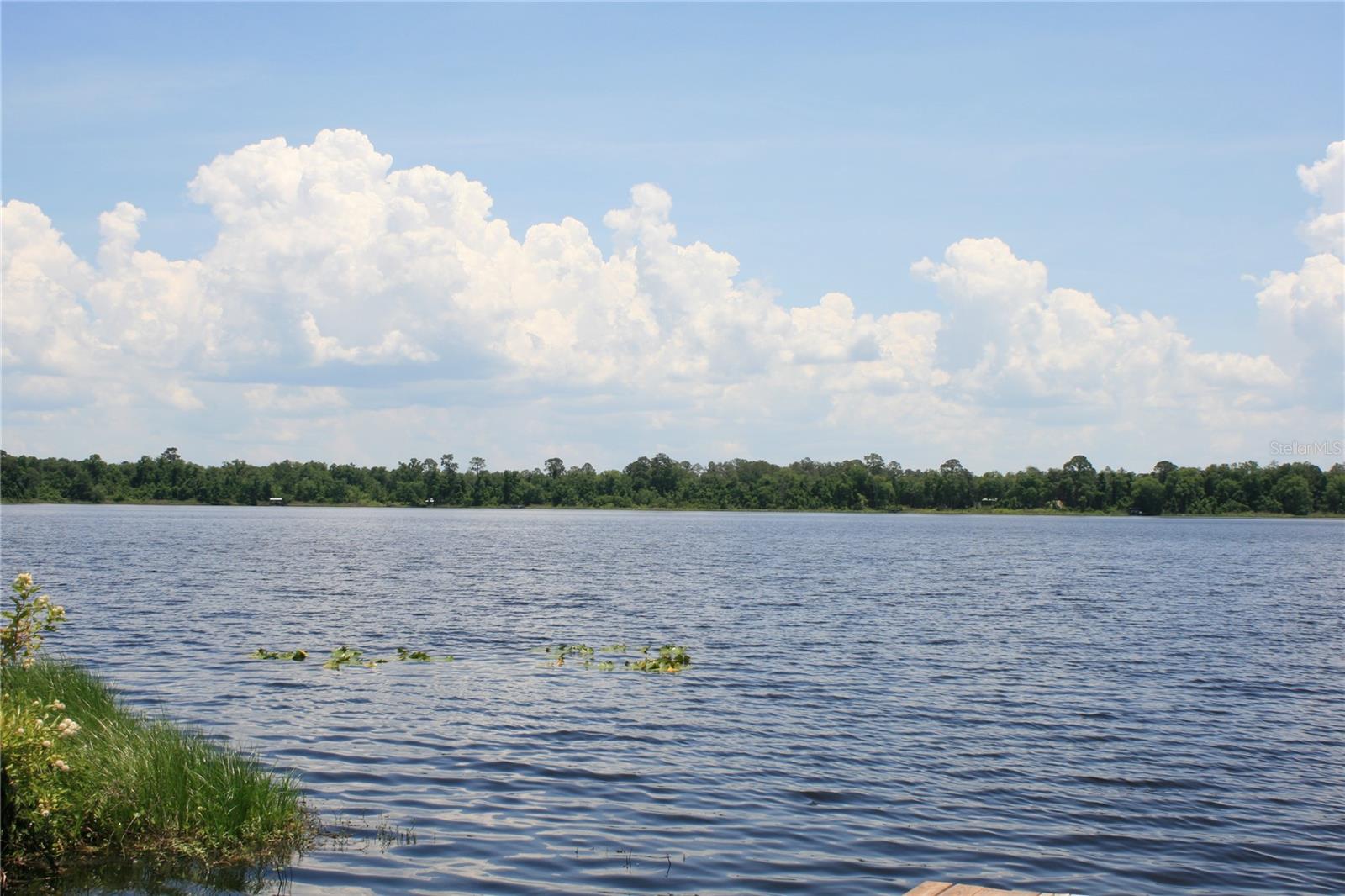 21317 SE 111TH AVE, HAWTHORNE, FL, 32640