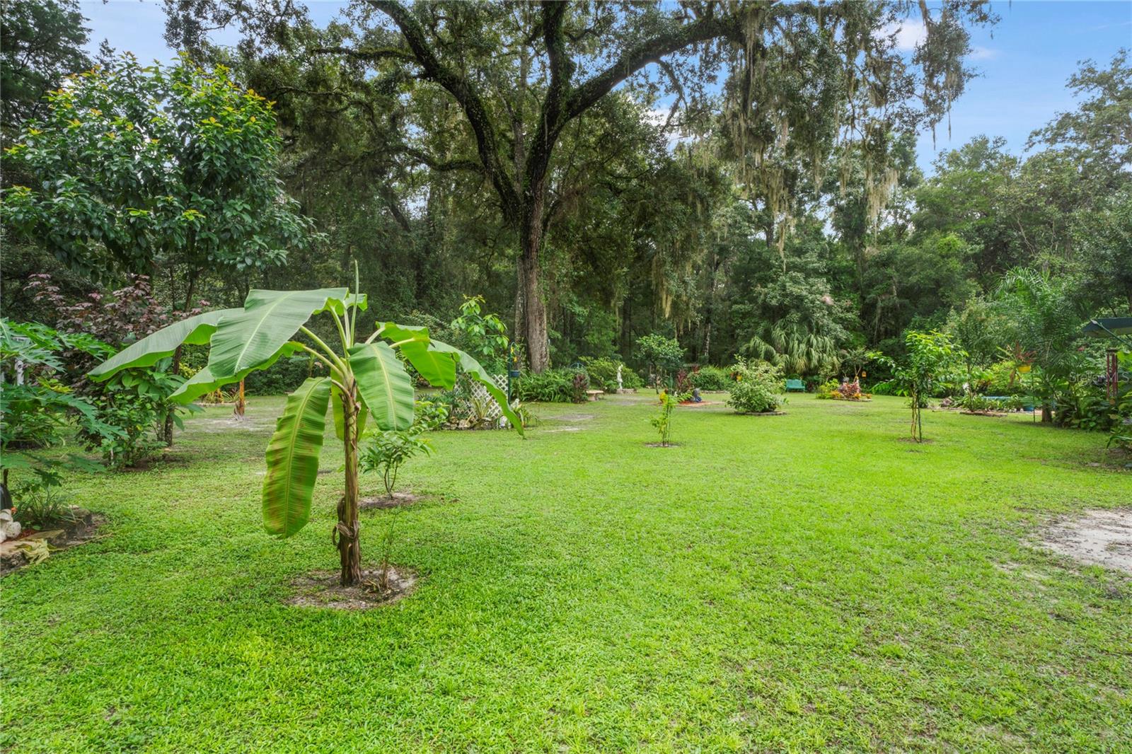 24370 AUDUBON DR, BROOKSVILLE, FL, 34601