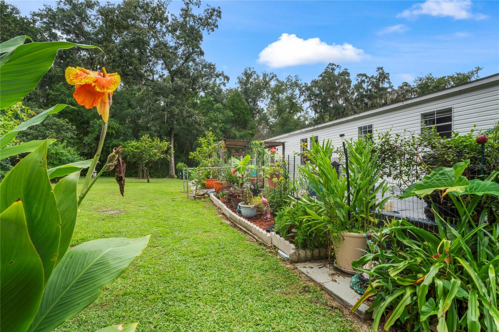 24370 AUDUBON DR, BROOKSVILLE, FL, 34601