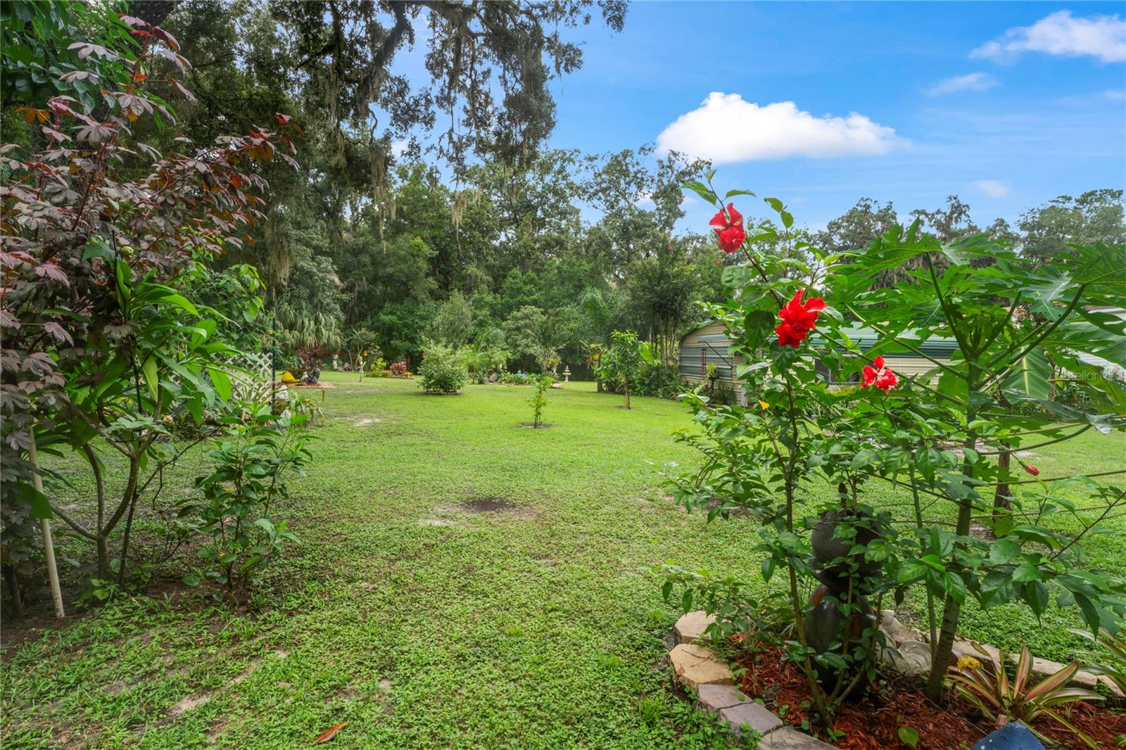 24370 AUDUBON DR, BROOKSVILLE, FL, 34601