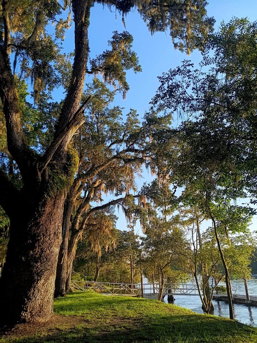520 NE 791 ST, OLD TOWN, FL, 32680