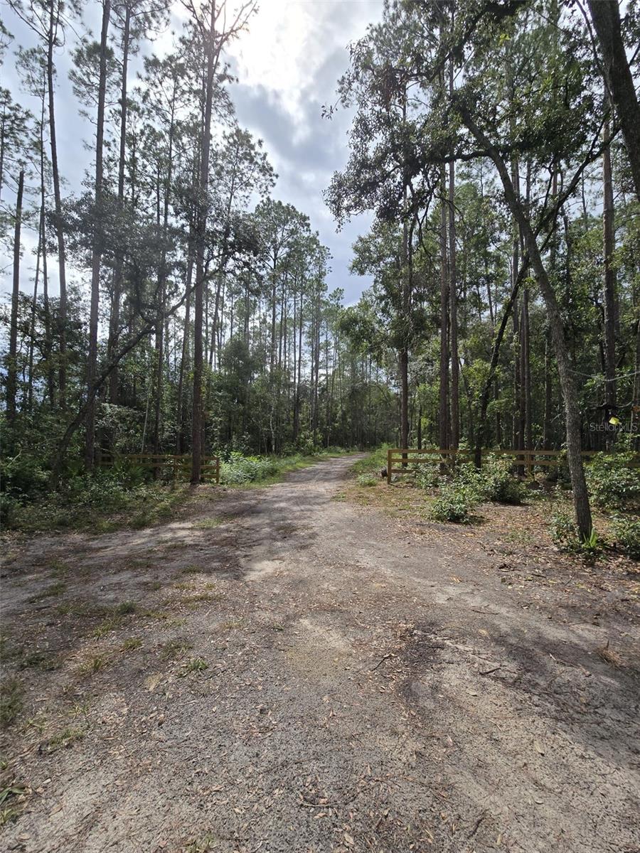 520 NE 791 ST, OLD TOWN, FL, 32680