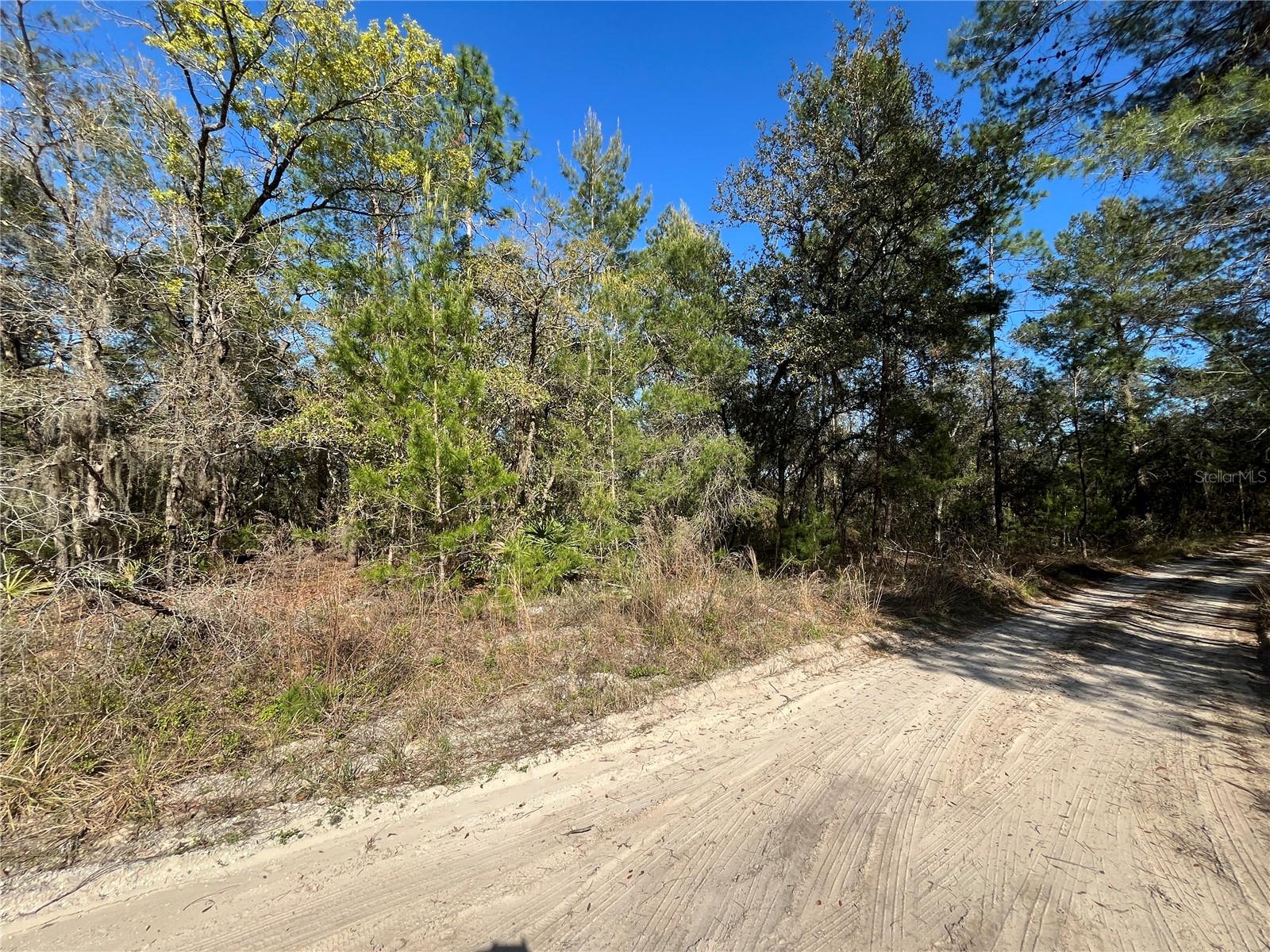 100 SHARON DR, SATSUMA, FL, 32189