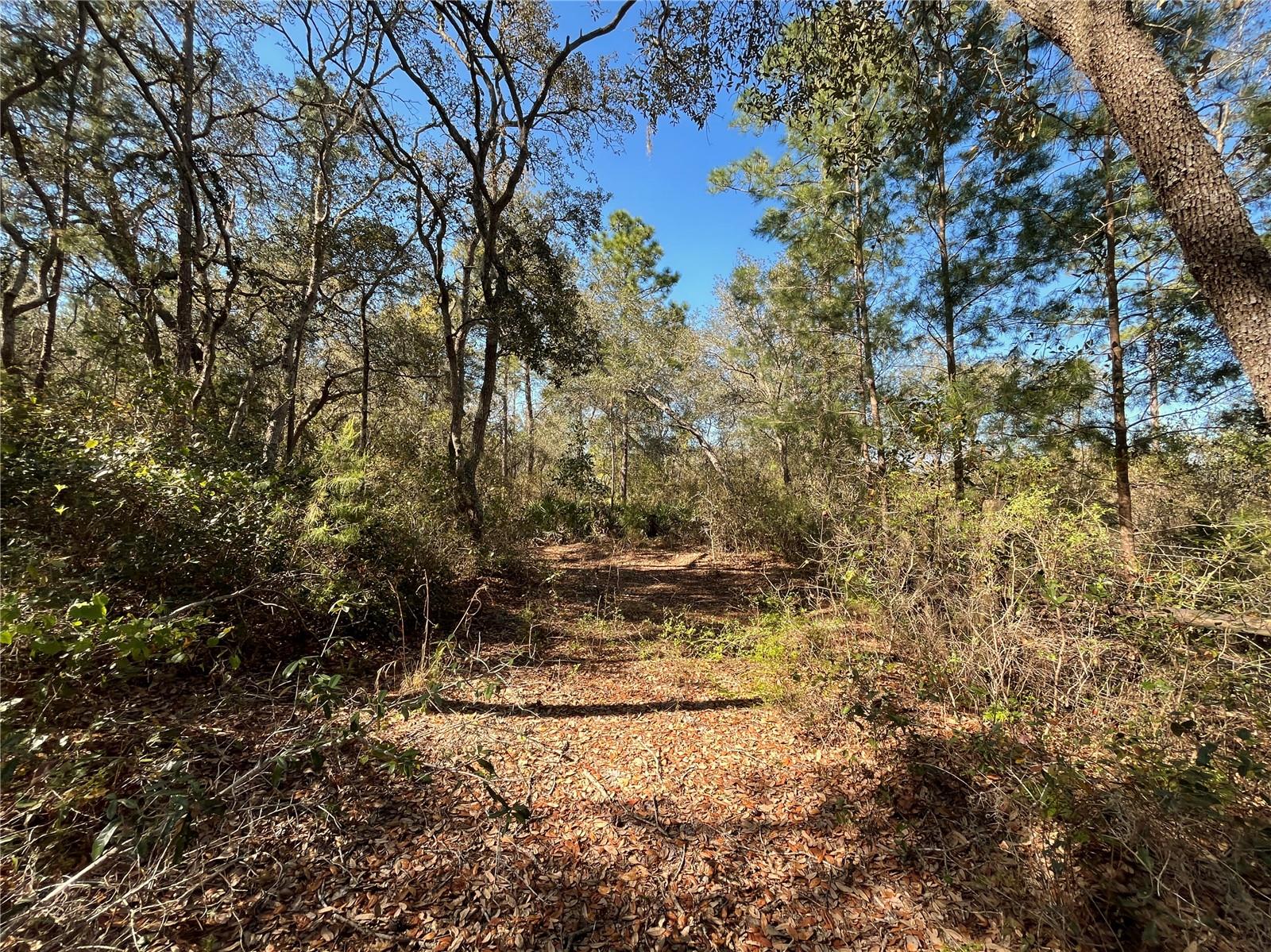 100 SHARON DR, SATSUMA, FL, 32189