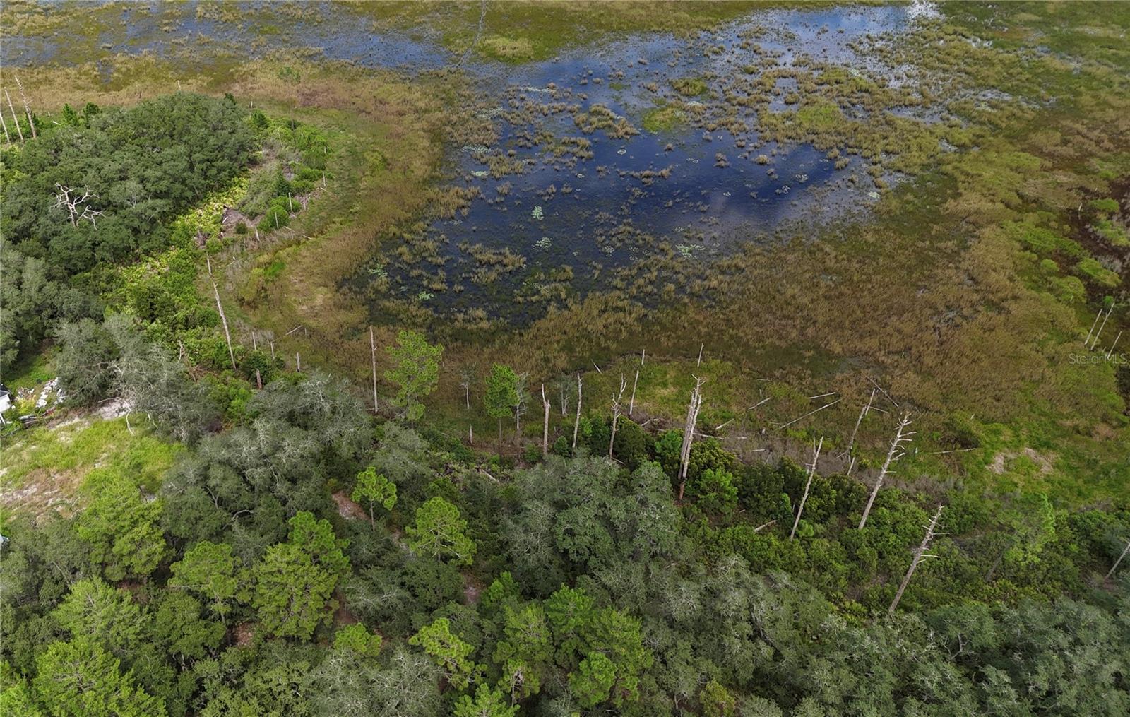 100 SHARON DR, SATSUMA, FL, 32189