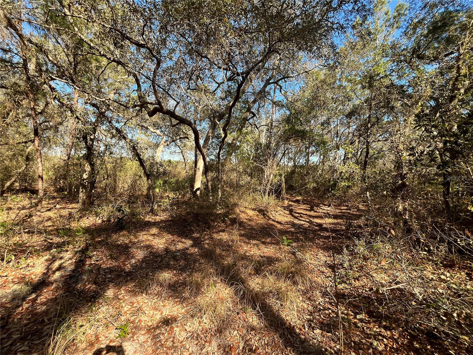 100 SHARON DR, SATSUMA, FL, 32189