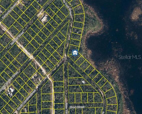 100 SHARON DR, SATSUMA, FL, 32189