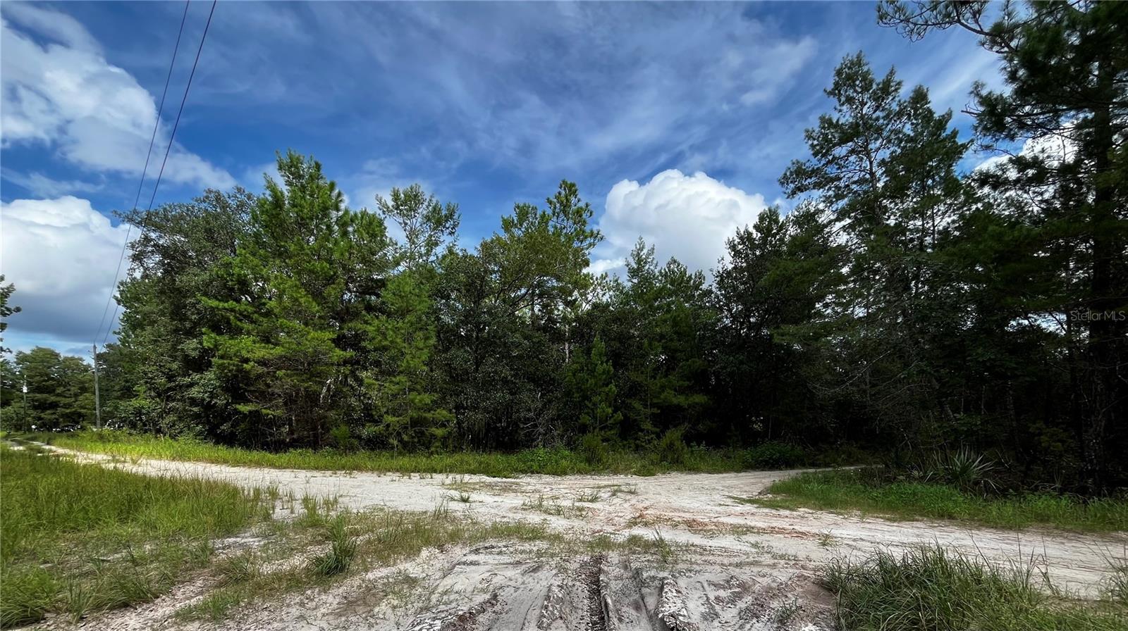 100 SHARON DR, SATSUMA, FL, 32189
