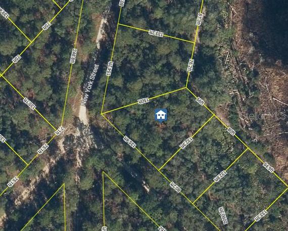 100 SHARON DR, SATSUMA, FL, 32189