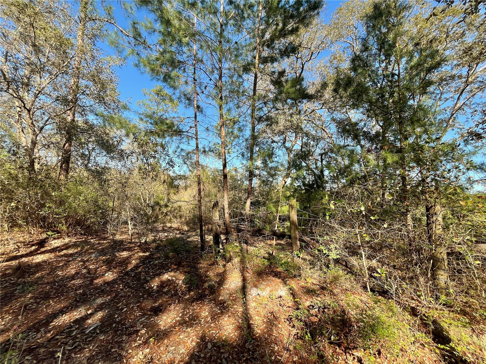 100 SHARON DR, SATSUMA, FL, 32189