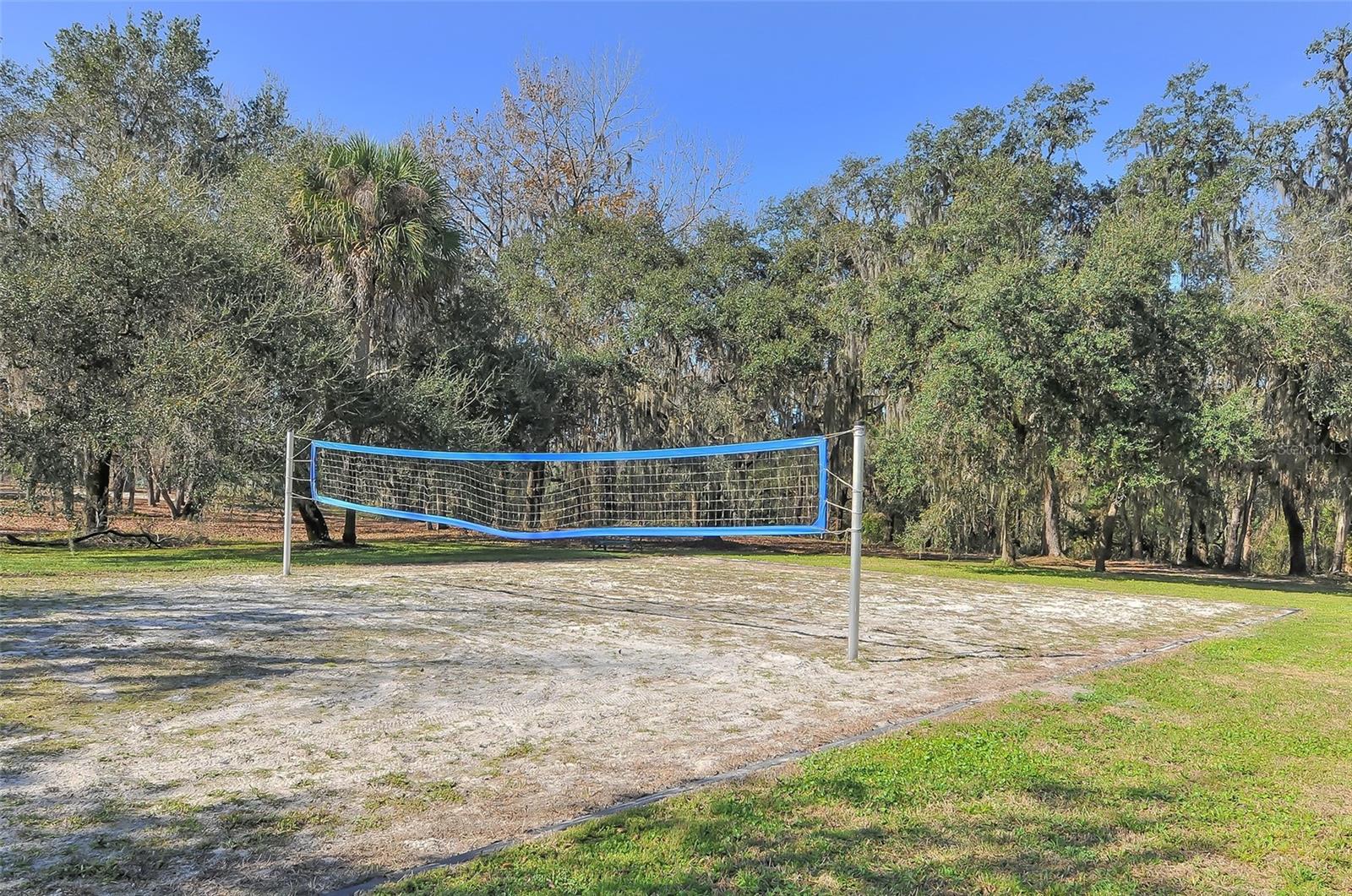 16916 ROSEDOWN GLN, PARRISH, FL, 34219