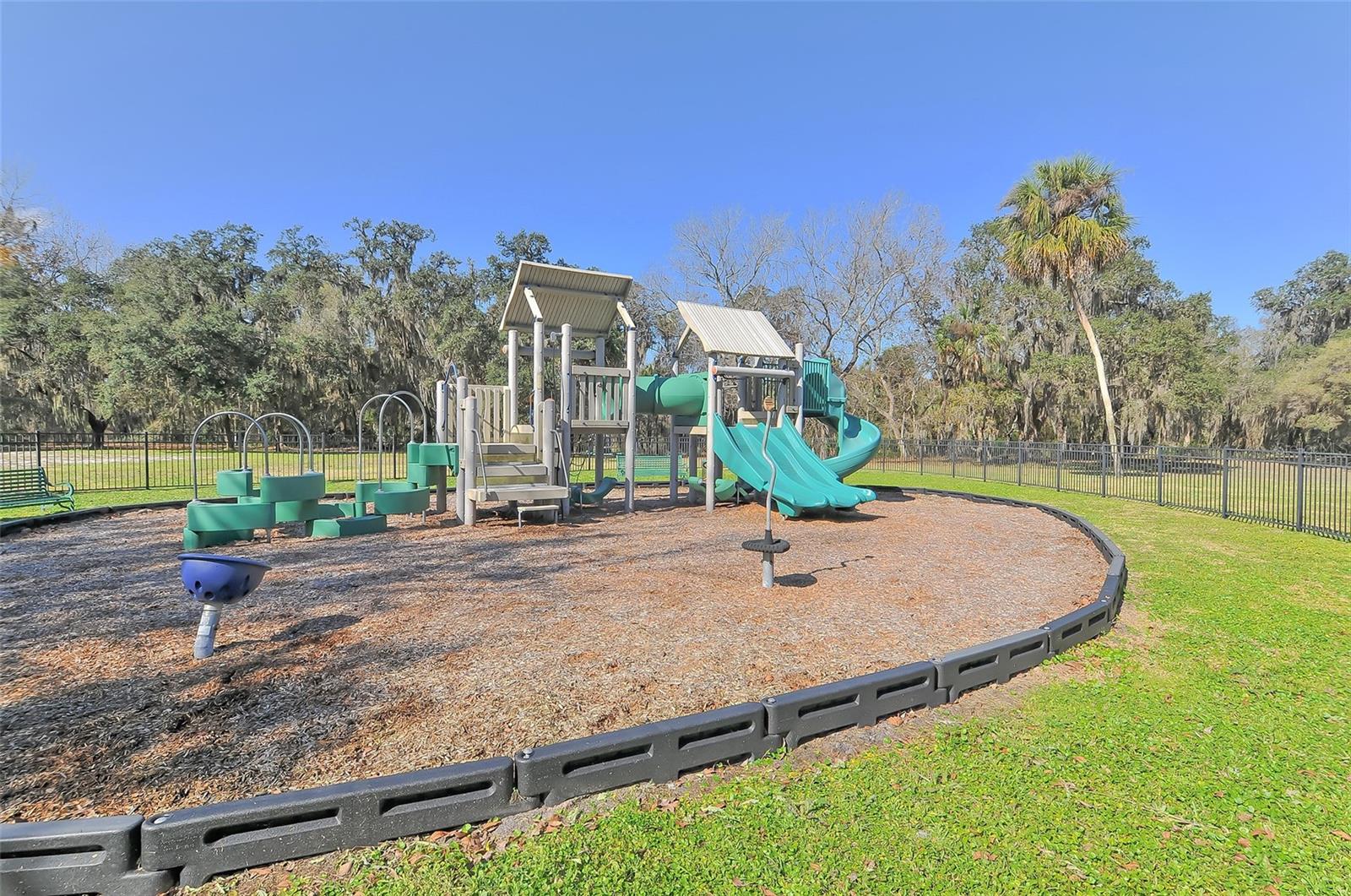 16916 ROSEDOWN GLN, PARRISH, FL, 34219