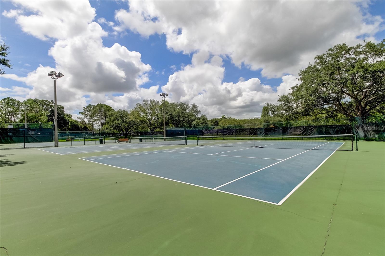 11426 GLENMONT DR, TAMPA, FL, 33635