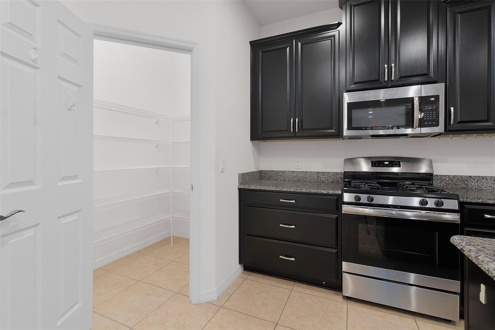 14229 SUNRIDGE BLVD, WINTER GARDEN, FL, 34787