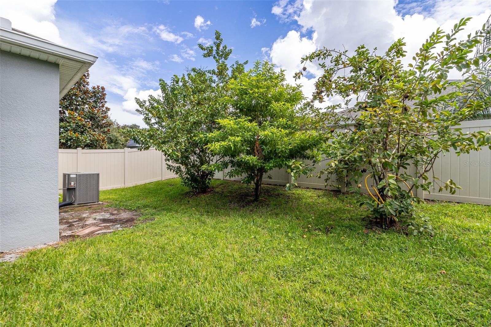 14229 SUNRIDGE BLVD, WINTER GARDEN, FL, 34787