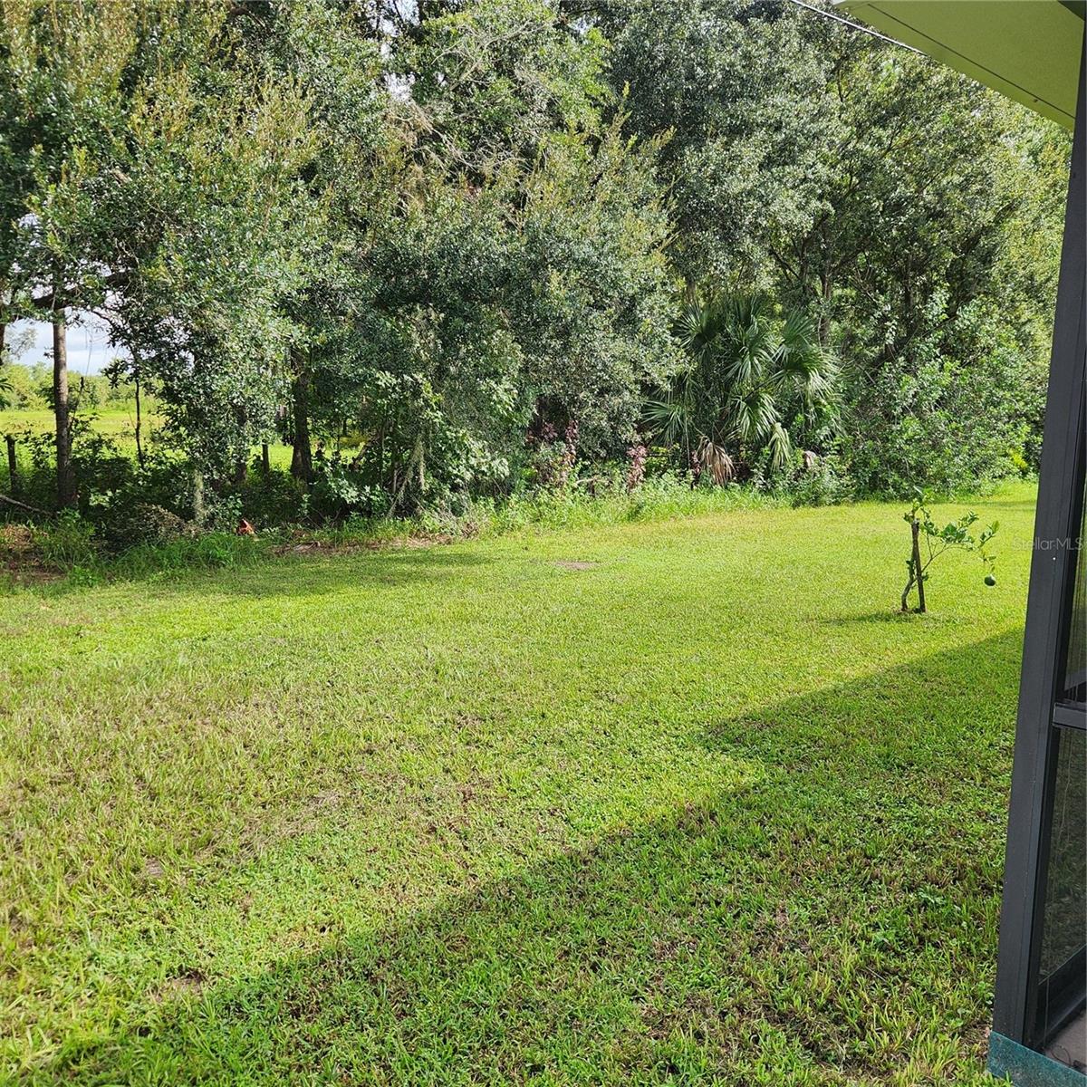 20319 MACON PKWY, ORLANDO, FL, 32833