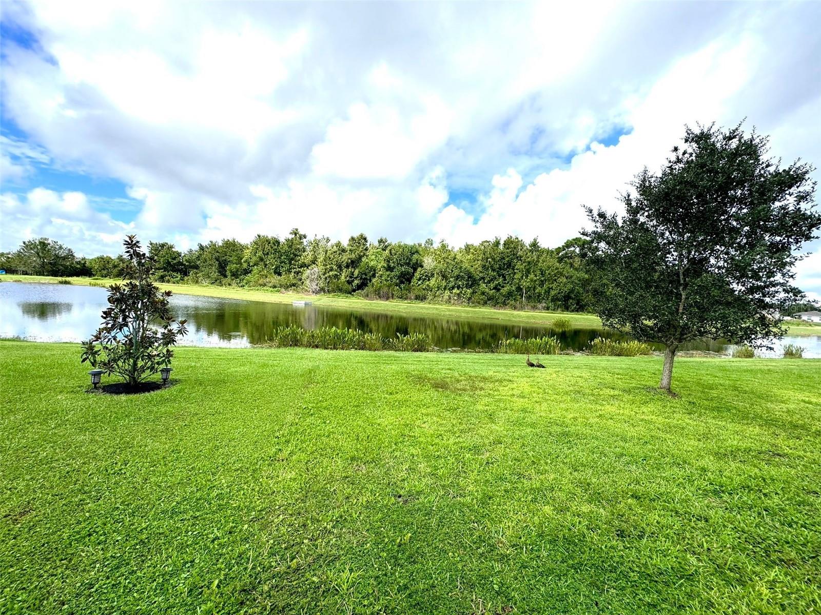 4324 DESERT ROSE AVE, KISSIMMEE, FL, 34746