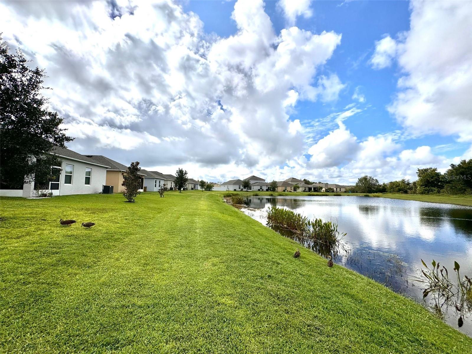 4324 DESERT ROSE AVE, KISSIMMEE, FL, 34746