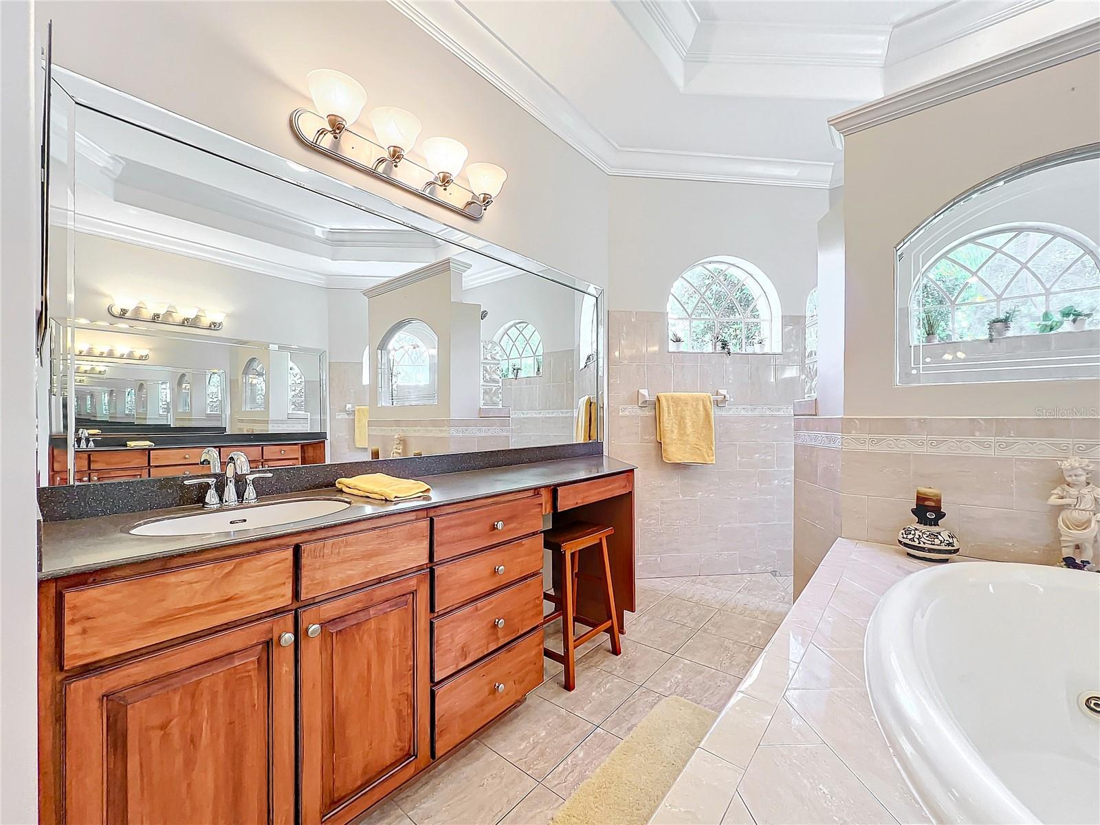 4003 TWIN RIVERS TRL, PARRISH, FL, 34219