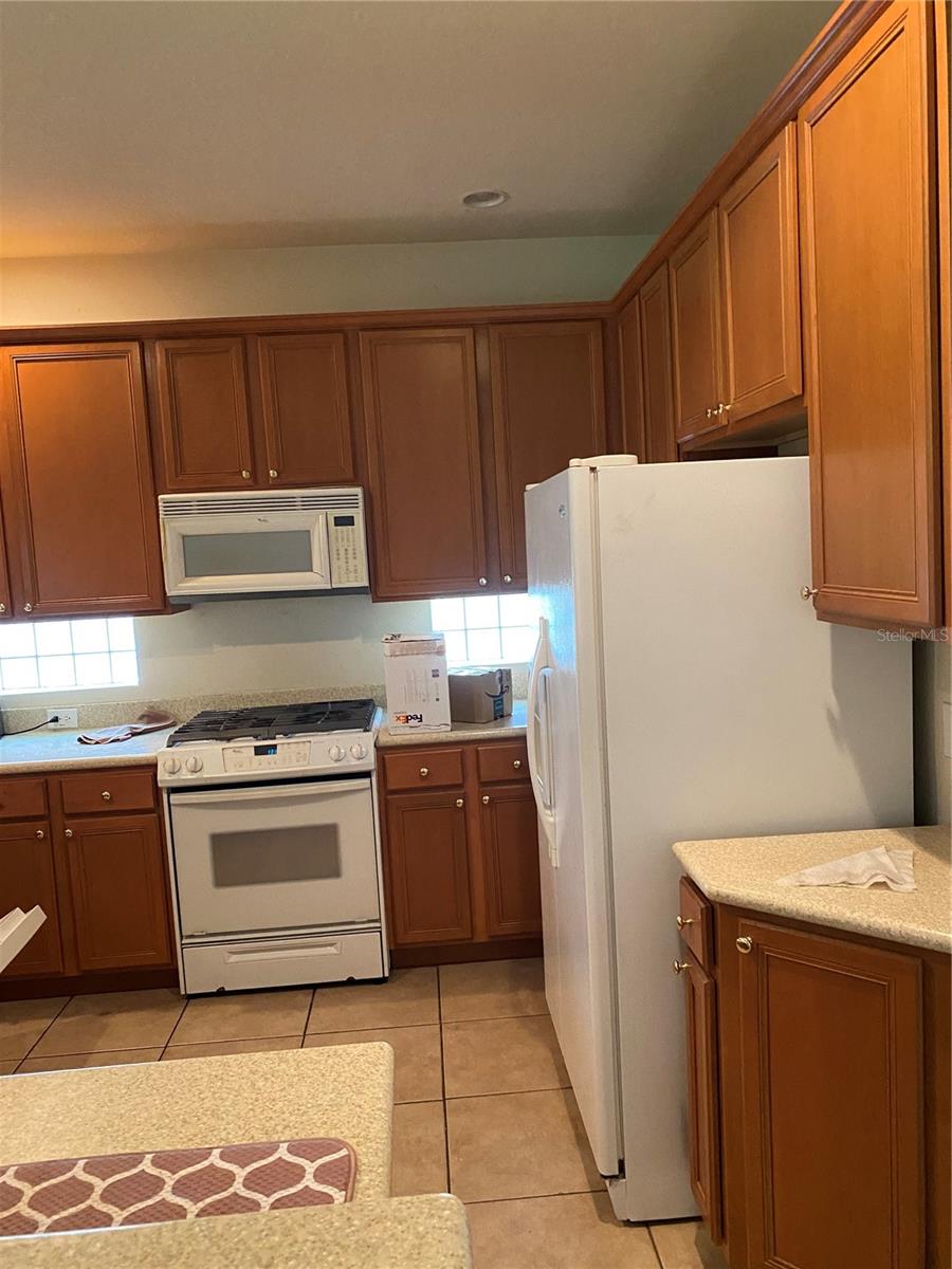 11774 VIA LUCERNA CIR, WINDERMERE, FL, 34786
