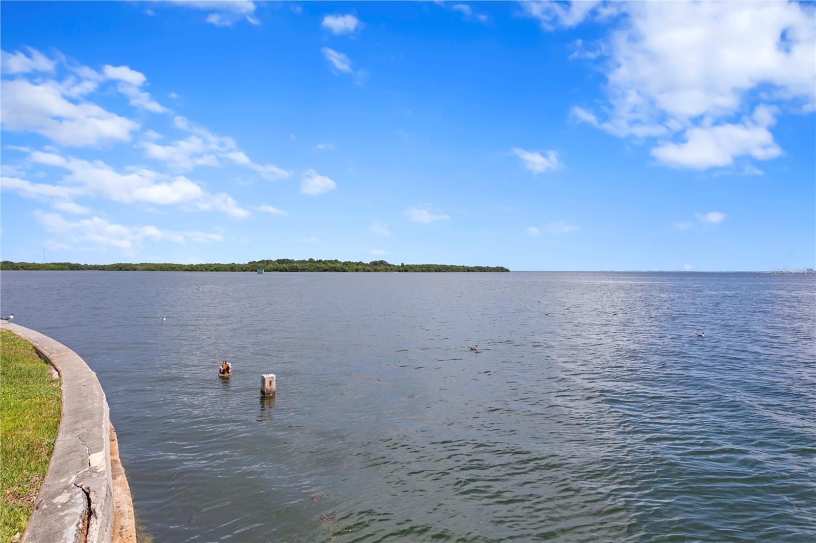 2090 IOWA AVE NE, ST PETERSBURG, FL, 33703