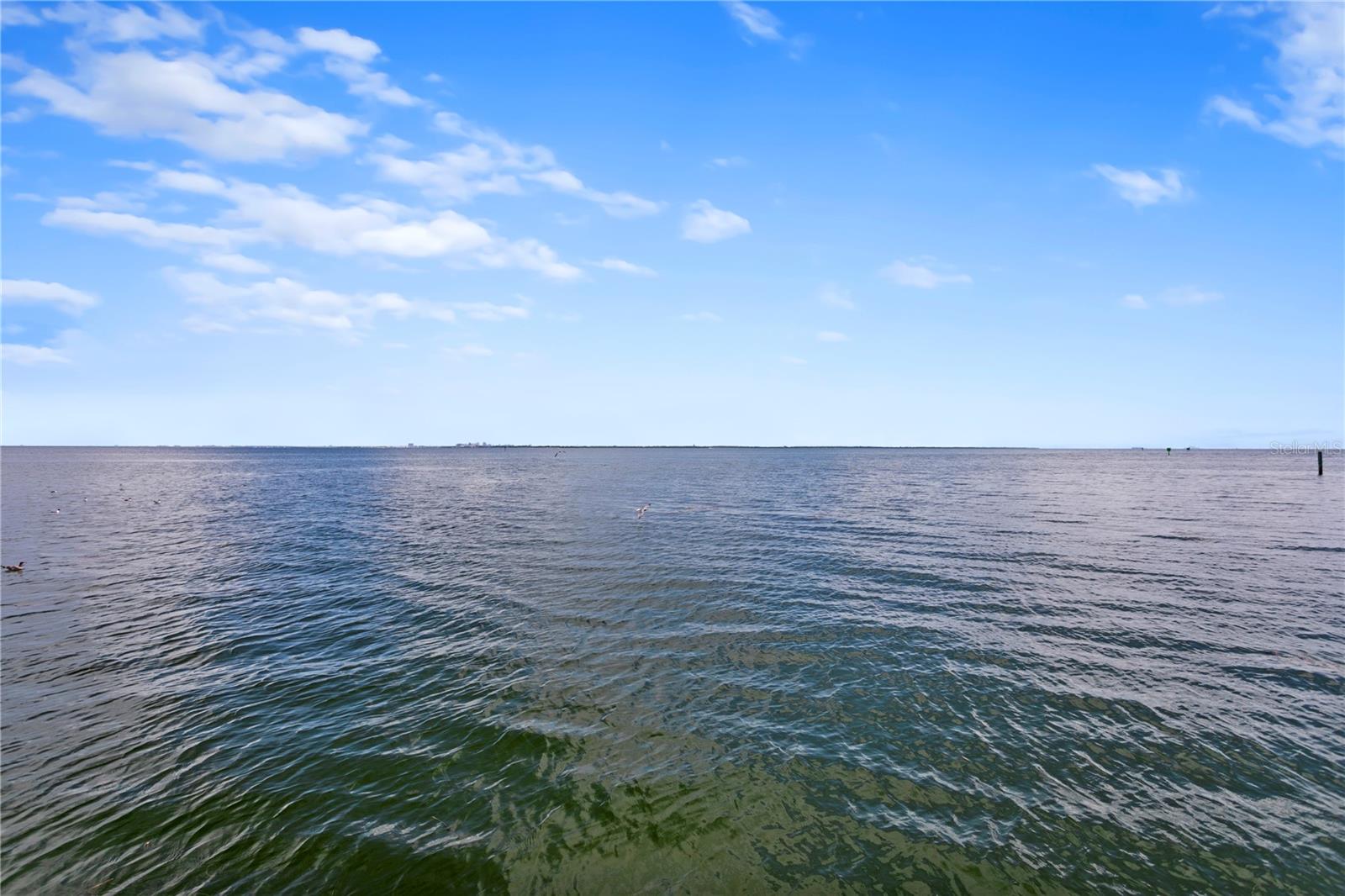 2090 IOWA AVE NE, ST PETERSBURG, FL, 33703