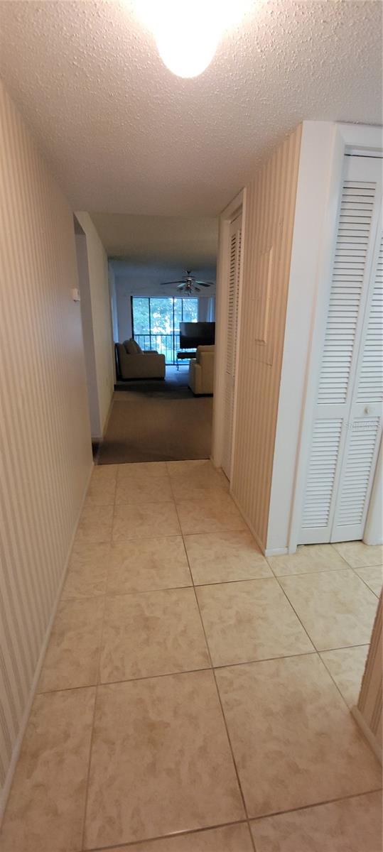 312 MARTHA LN #312, OLDSMAR, FL, 34677