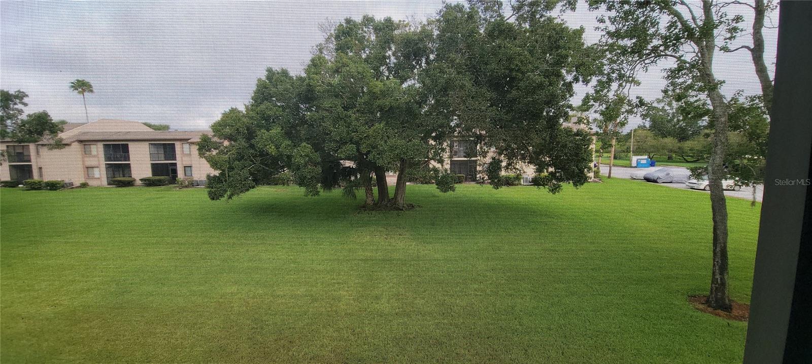 312 MARTHA LN #312, OLDSMAR, FL, 34677