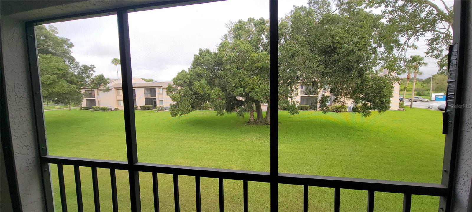 312 MARTHA LN #312, OLDSMAR, FL, 34677