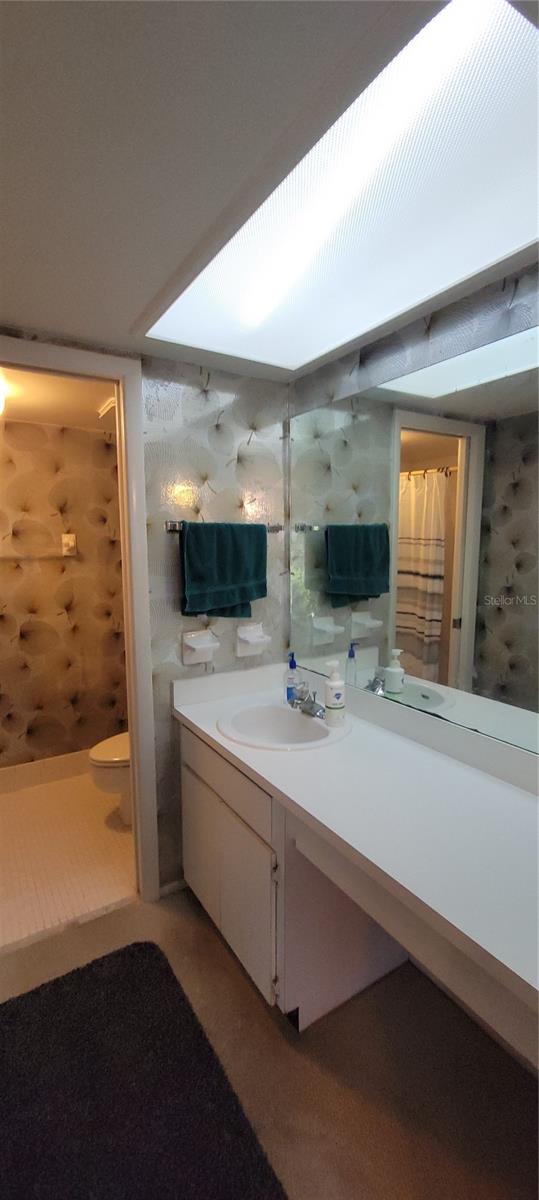 312 MARTHA LN #312, OLDSMAR, FL, 34677