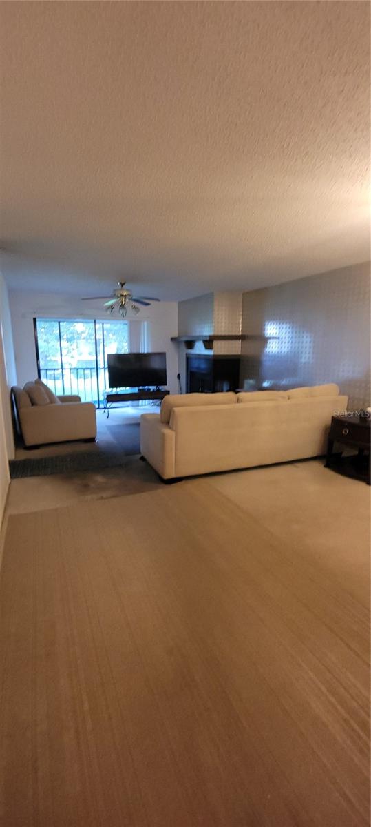 312 MARTHA LN #312, OLDSMAR, FL, 34677