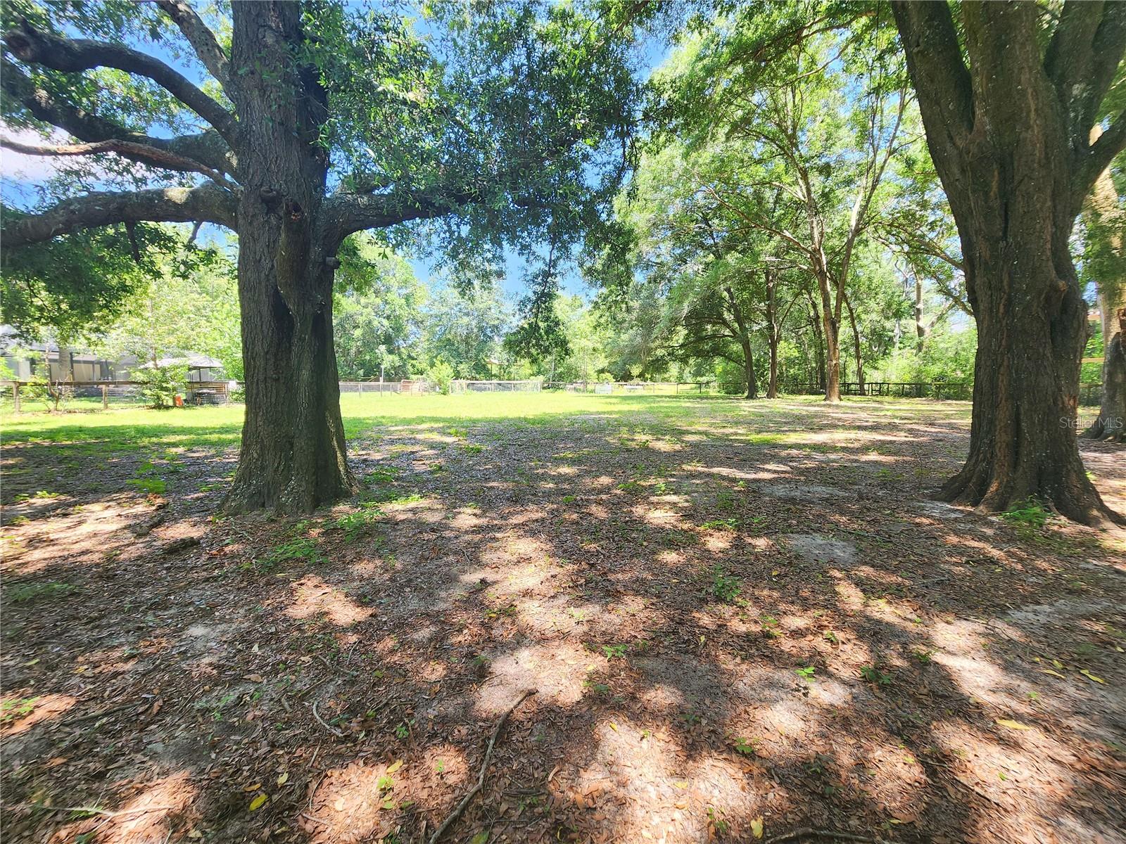 17155 SW 17TH CIR, OCALA, FL, 34473