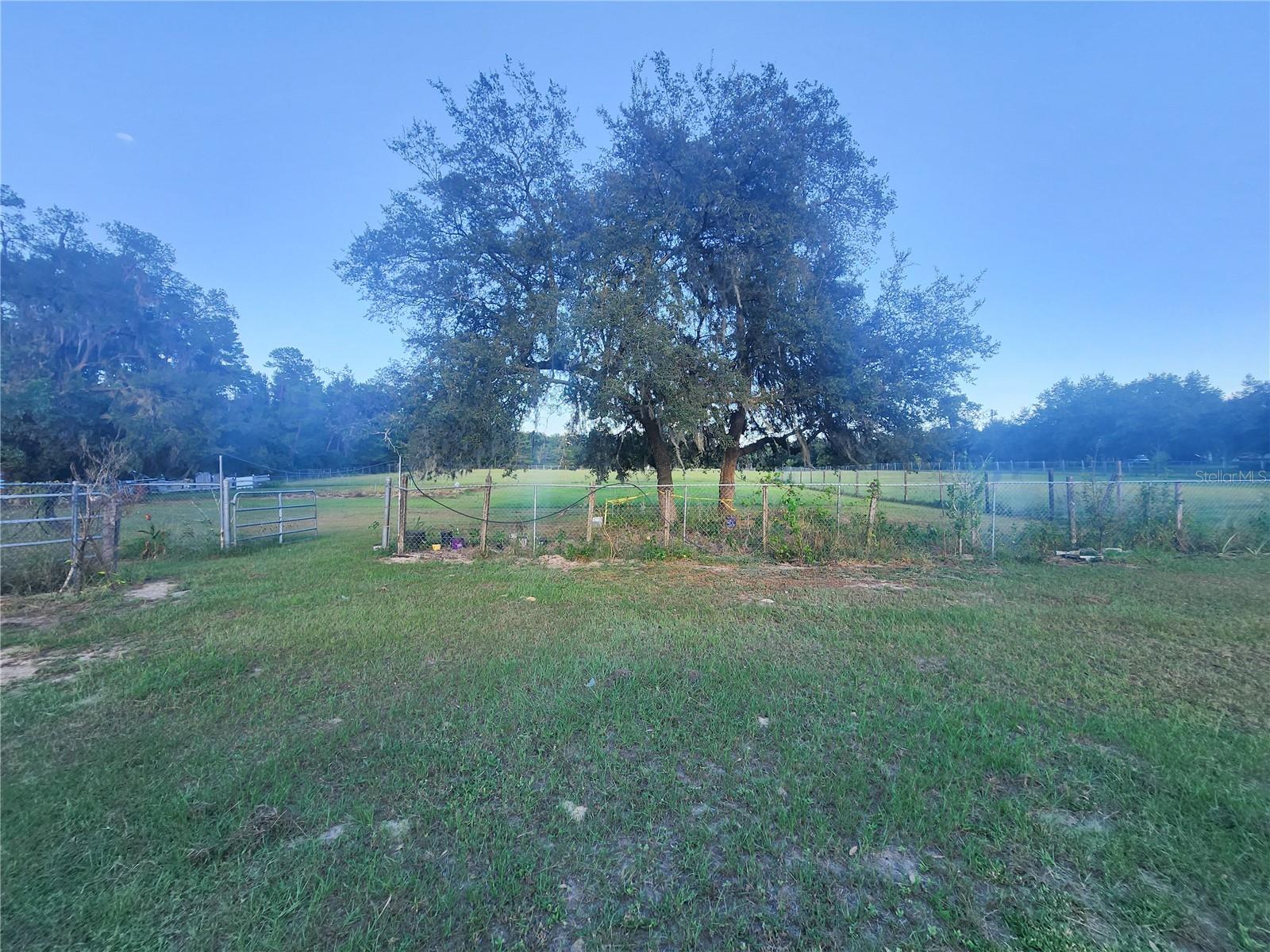 17155 SW 17TH CIR, OCALA, FL, 34473