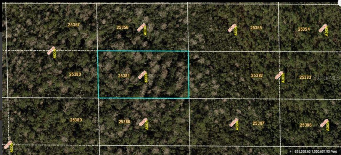 DILL RD, ORLANDO, FL, 32820