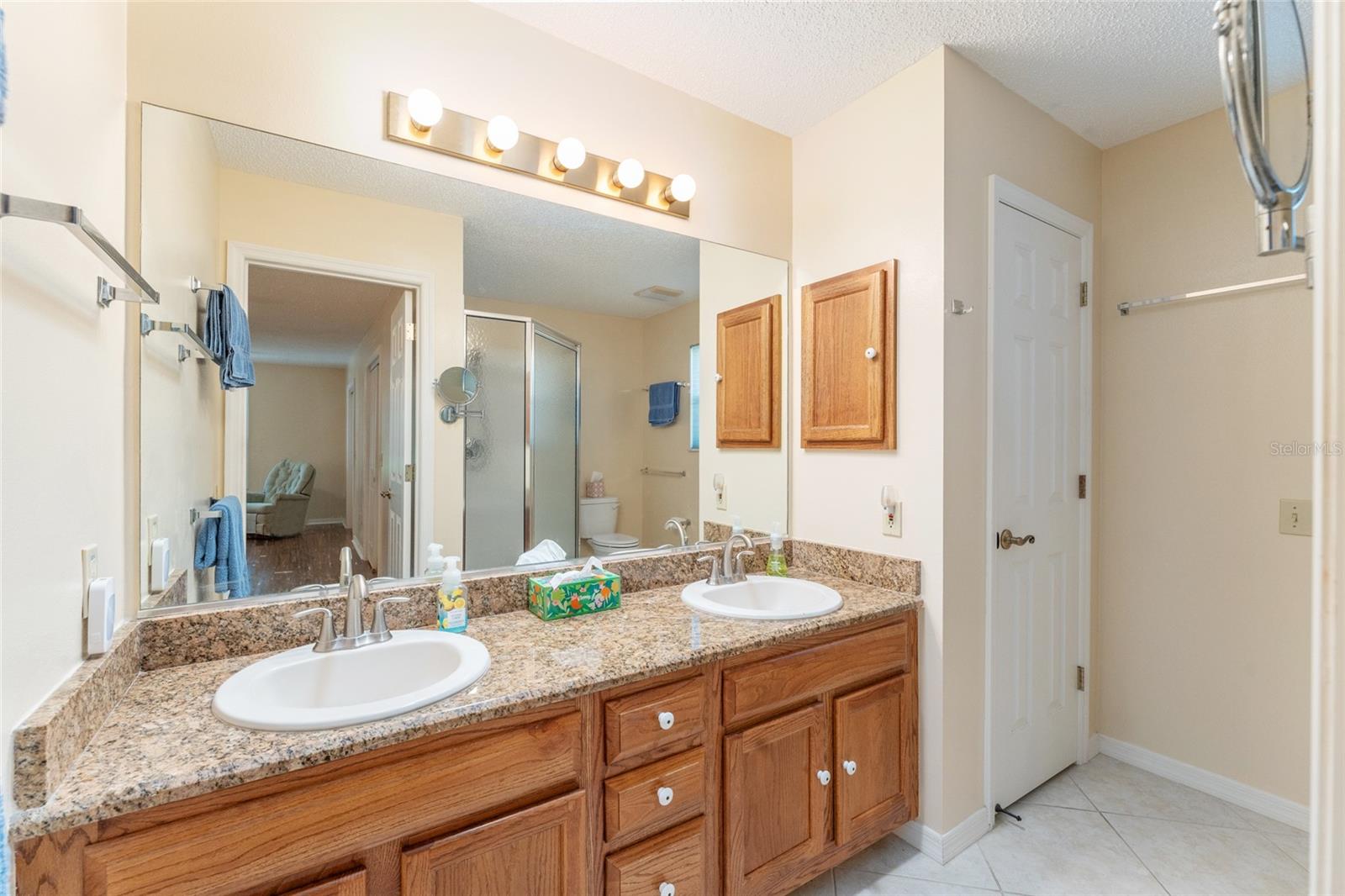 501 HERRERA CT, THE VILLAGES, FL, 32159