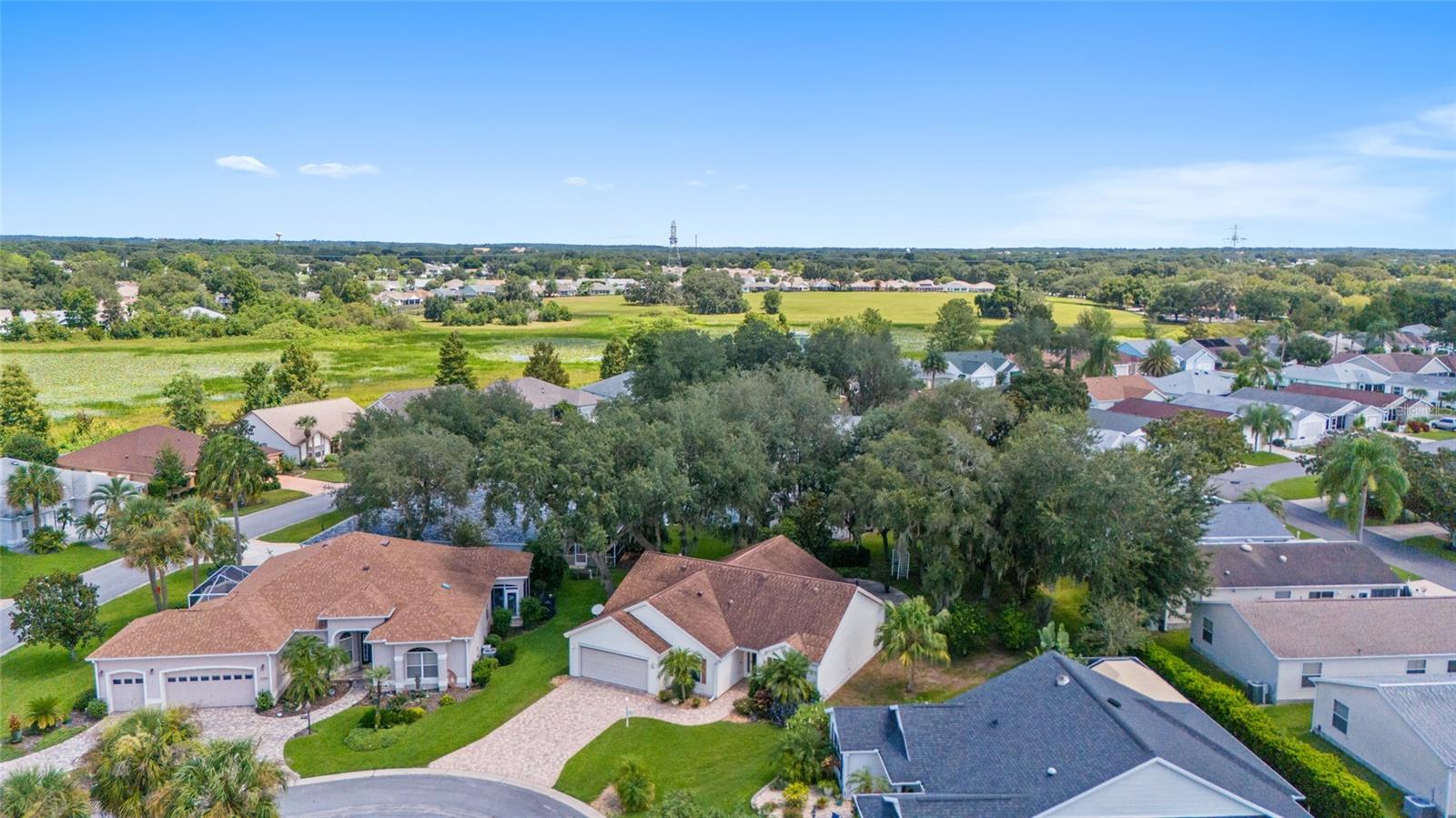 501 HERRERA CT, THE VILLAGES, FL, 32159