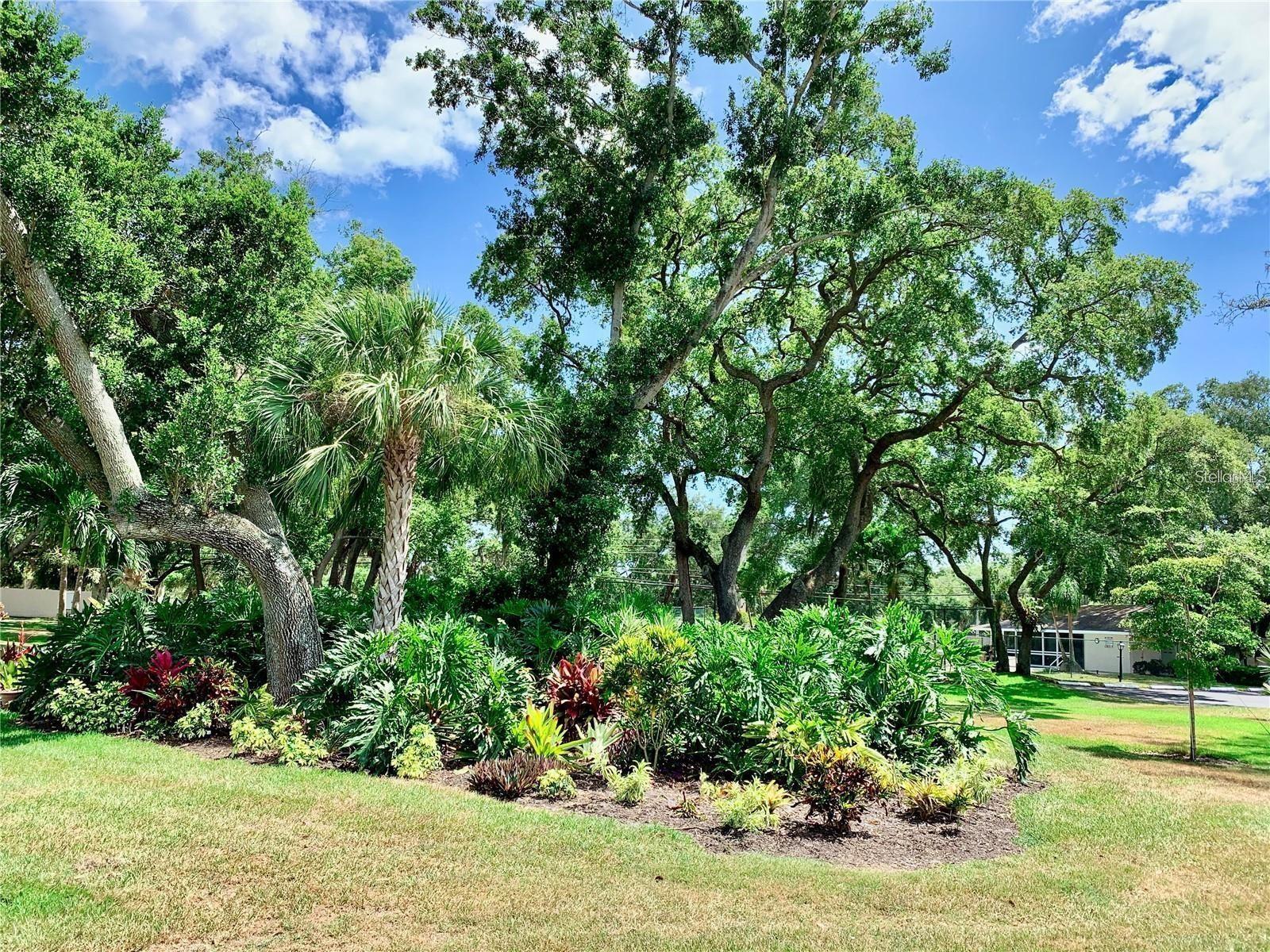 3556 WILKINSON WOODS DR #20, SARASOTA, FL, 34231