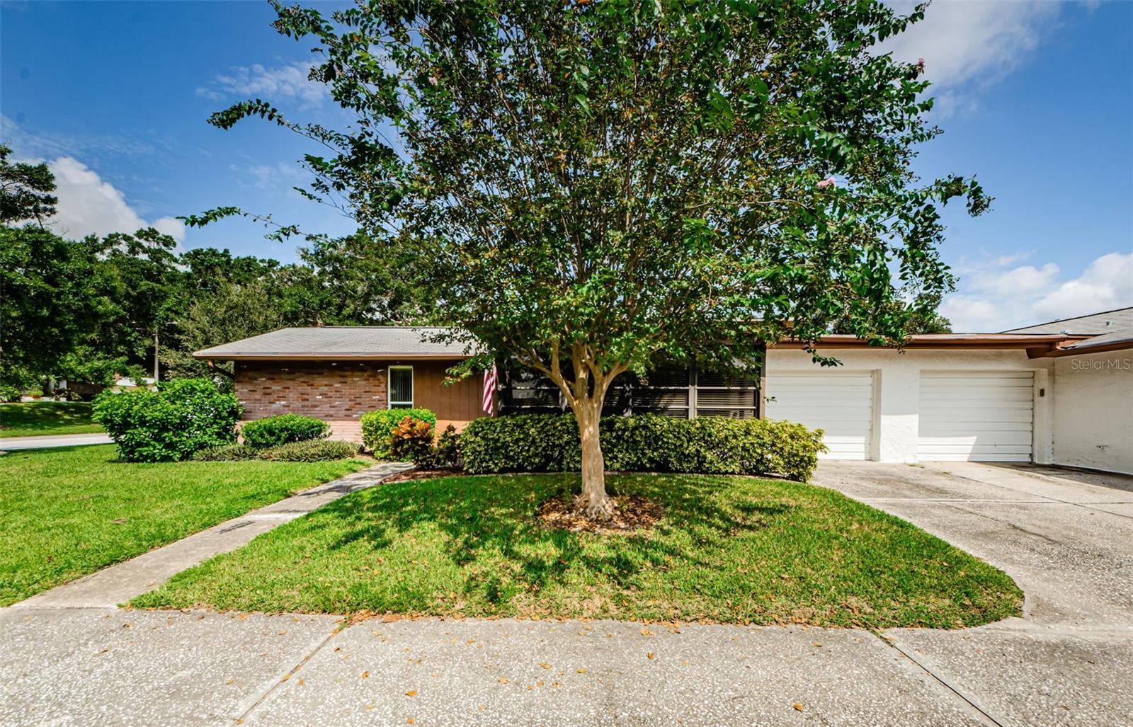 2241 SHELLY DR #B, PALM HARBOR, FL, 34684