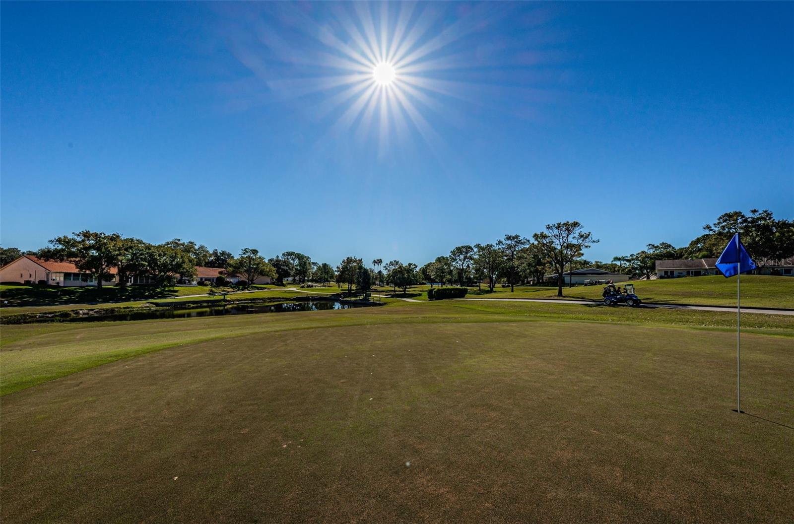 2241 SHELLY DR #B, PALM HARBOR, FL, 34684